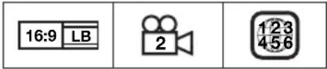 PIONEER Elite BDP33FD - Icons Used on DVD Video Disc Cases - 2