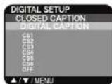 Dynex DXR13TV - To turn on closed captions (digital mode): - 4