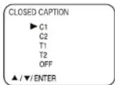 Dynex DXR13TV - To turn on closed captions (analog mode): - 2