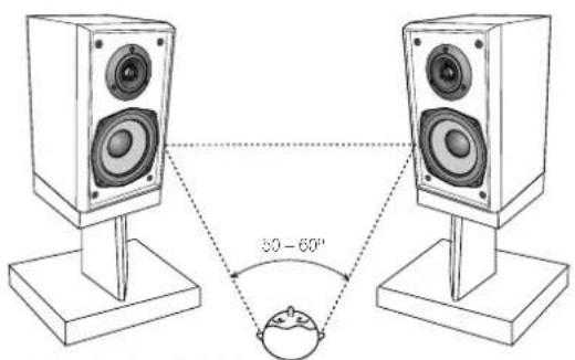 PIONEER SHF11C - Not applicable to S-HF11C - 1