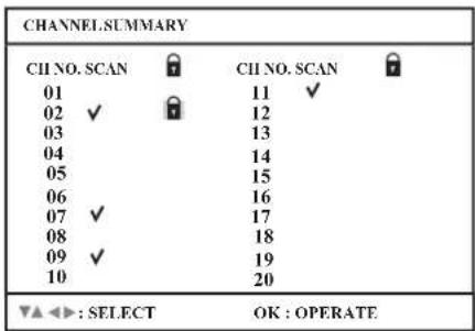 CHANNEL.SUMMARY CI NO. SCAN CI NO. SCAN 01 11 ✓ 02 ✓ 12 03 13 04 14 05 15 06 16 07 ✓ 17 08 18 09 ✓ 19 10 20 ▼▲◀: SELECT OK: OPERATE