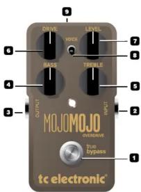 TC ELECTRONIC MojoMojo - (JP) イントロダクション - 2