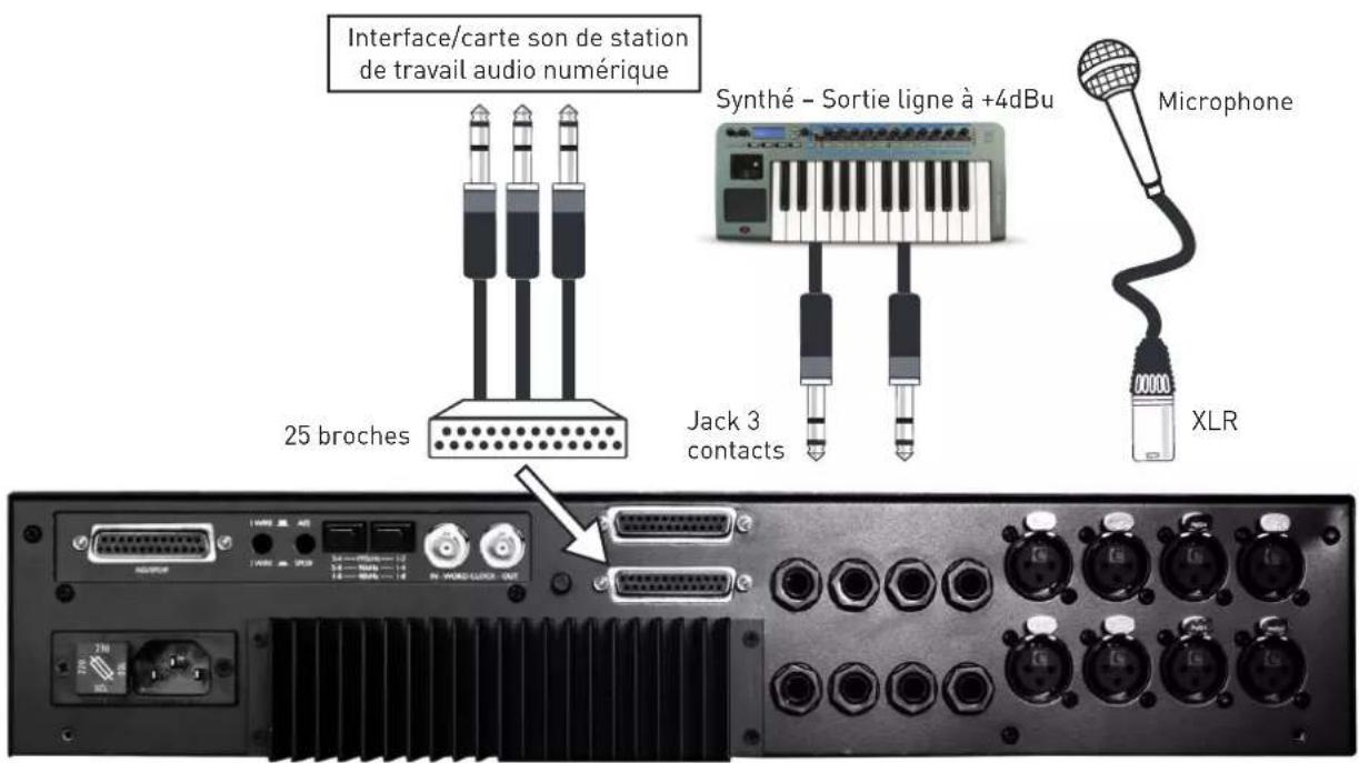 FOCUSRITE ISA 828 - Connexions des signaux - 1