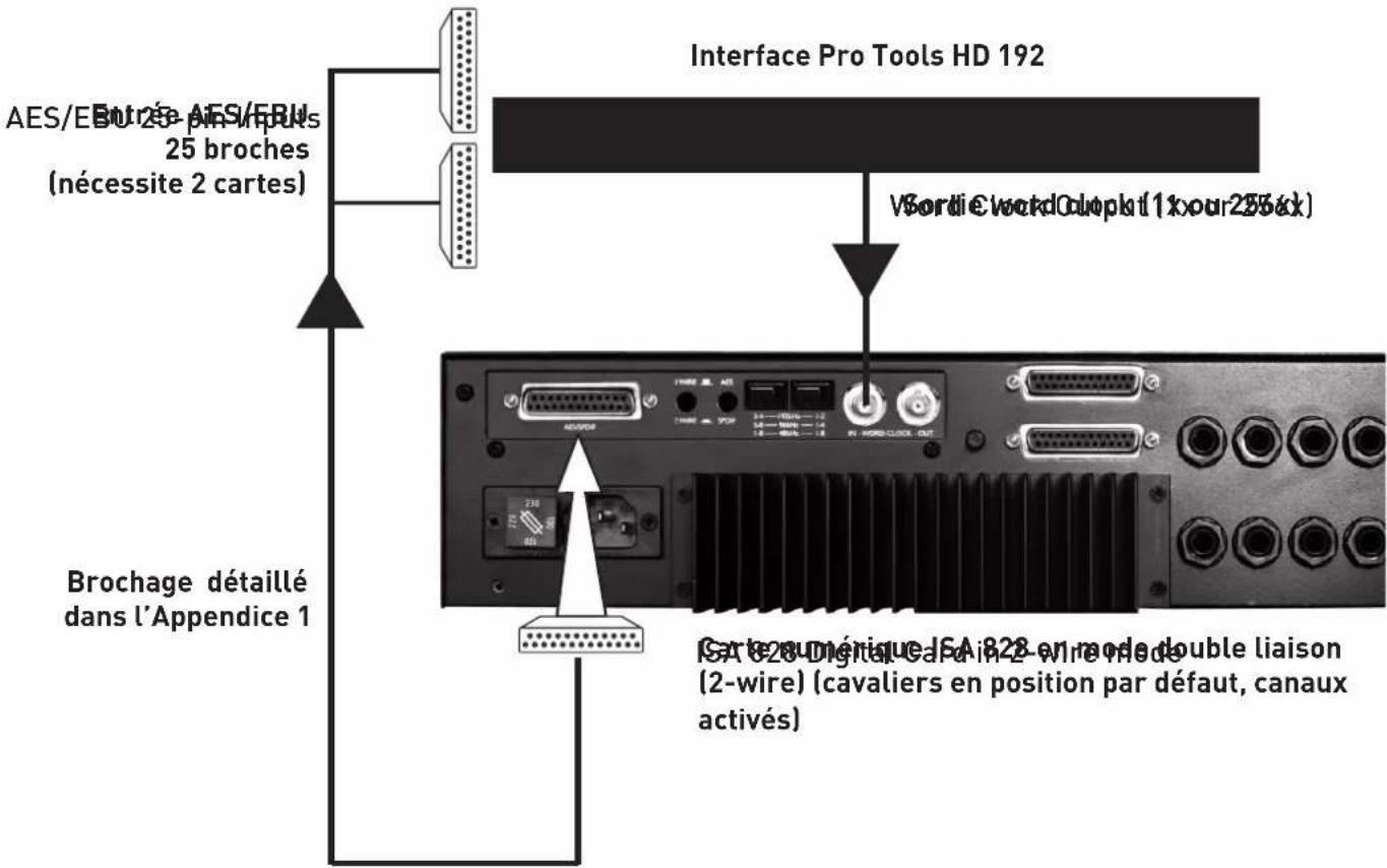 FOCUSRITE ISA 828 - Enregistrement dans Pro Tools HD à 192 kHz depuis les sorties AES 1-8 - 1