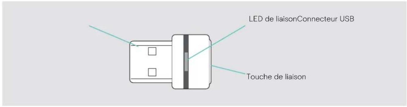 SENNHEISER EXPAND SP 30 - Vue d'ensemble du dongle USB BTD 800 - 1