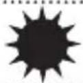 Morningstar SHS10 - VOYANTS LUMINEUX - 1