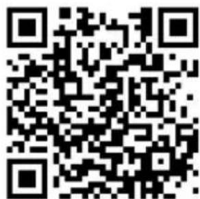 MEDION P85295 (MD 88295) - Installatie via een directe link - 2