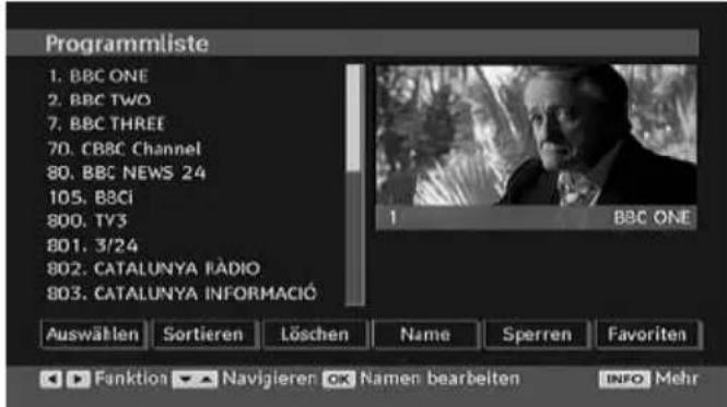 MEDION LIFE P14010 (MD 30314) - Kanäle umbenennen - 1