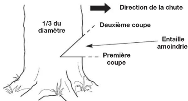 REMINGTON RM4618 - Étape 2 : Faites une entaille amoindrie - 3