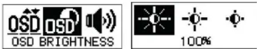 MEDION S89038 (MD 87156) - Displayets lysstyrke (Brightness) - 2