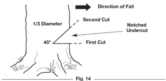 REMINGTON RM1035P - Step 2: Making the Notched Undercut - 3
