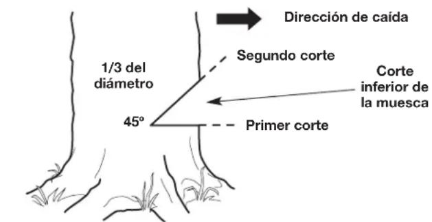 REMINGTON RM1035P - Paso 2: Ejecución del corte inferior de la muesca - 3