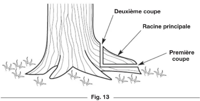 REMINGTON RM1035P - Étape 2 : Faites une entaille amoindrie - 2