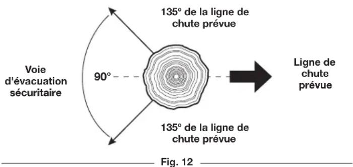 REMINGTON RM1035P - ABATTAGE : SÉCURITÉ - 2
