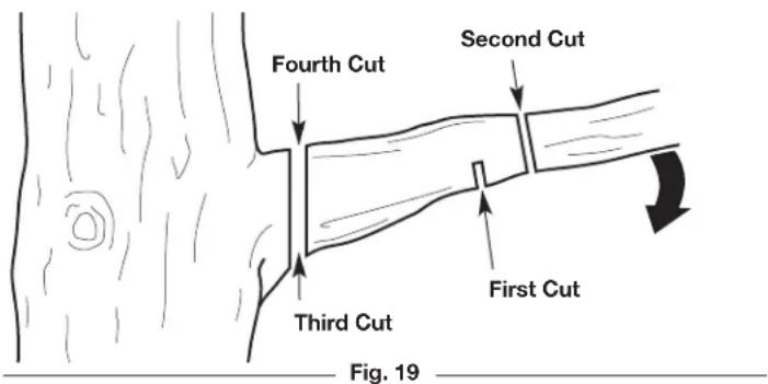 REMINGTON RM1425 - PRUNING - 3