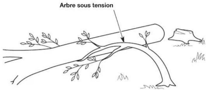 REMINGTON RM1425 - Cette coupe abat l'arbre. - 5