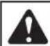 REMINGTON RM2BL - MAINTAINING THE SPARK PLUG - 1