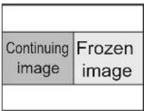 PANASONIC PTST10U - INDEX-WINDOW display - 10