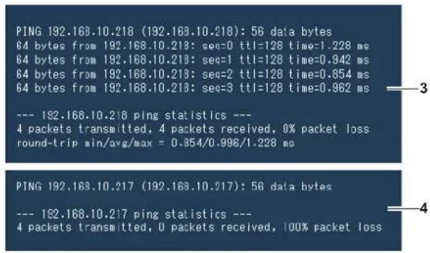 PANASONIC PTVX600 - Page [Ping test] - 2