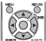 PANASONIC PTFW300NTU - DISPLAY OPTION menu - 1