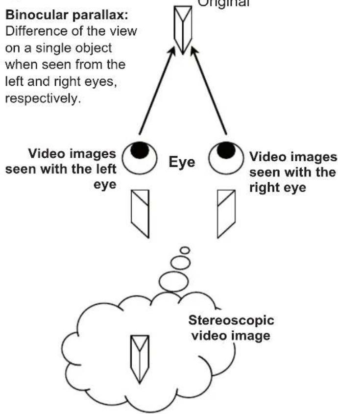 JVC DLARS65U - Description of the 3D method - 1