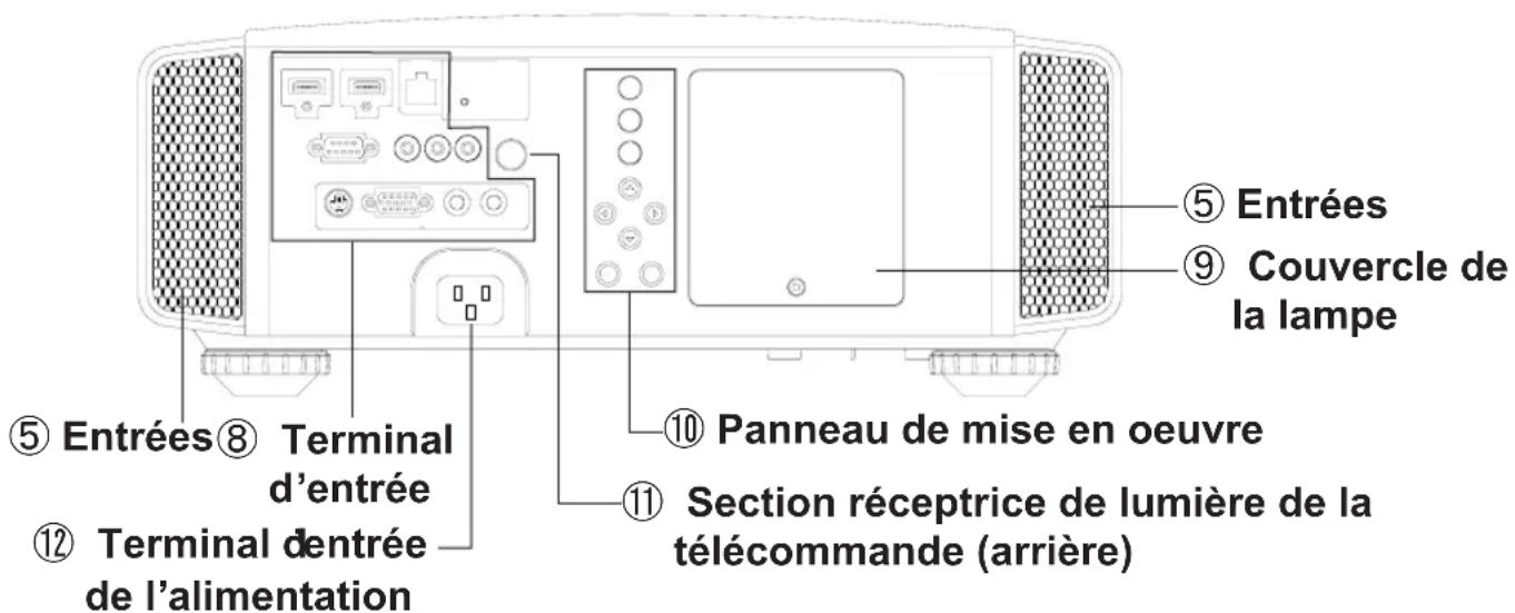 JVC DLARS55 - Boitier - Arriere - 1