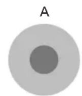 JVC DLARS55 - Curva gamma - 3