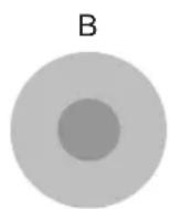 JVC DLARS55 - Curva gamma - 4