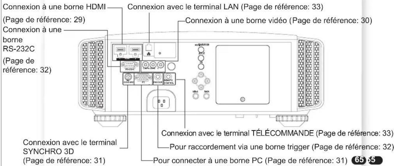 JVC DLARS55 - Connexions à l'unité - 3