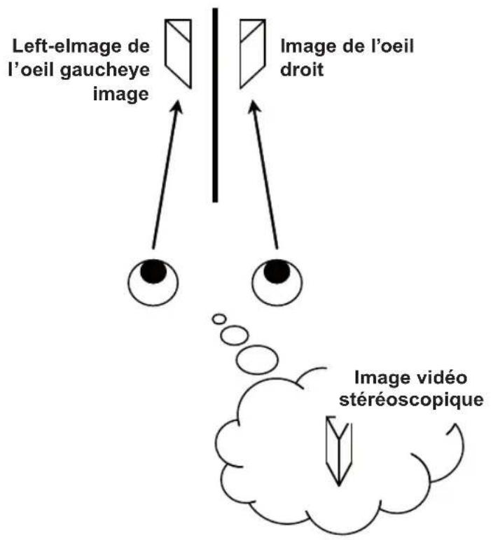 JVC DLARS55 - AVERTISSEMENT - 1