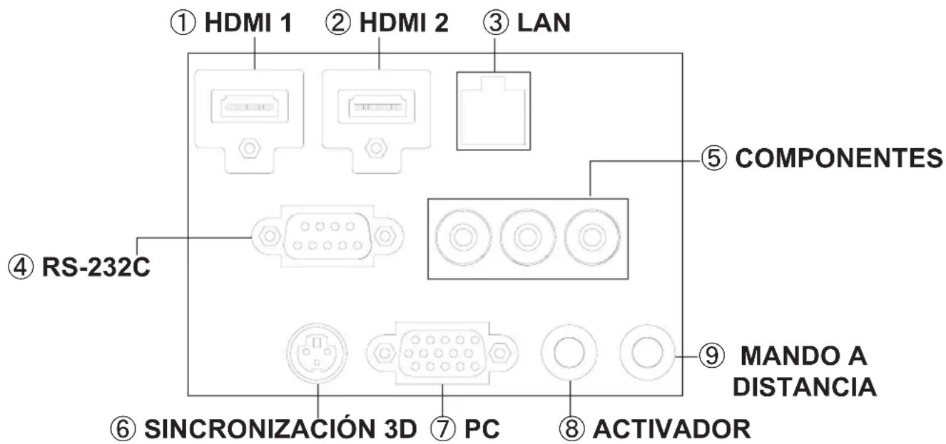 JVC DLARS55 - Cuerpo principal - Terminal de entrada - 1