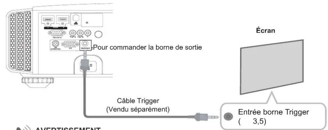 JVC DLARS55 - À propos des connexions (Suite) - 1