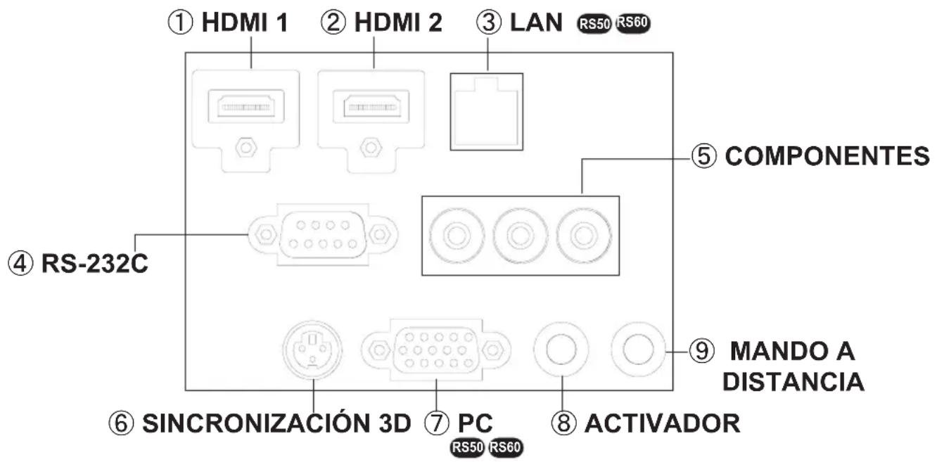 JVC DLARS60U3D - Cuerpo principal - Terminal de entrada - 1