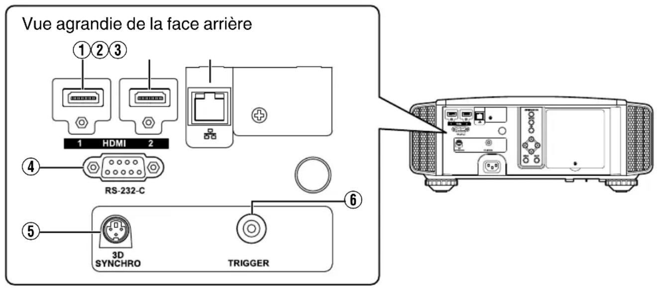 JVC DLARS49U - Unité principale - Bornes d'entrée - 1