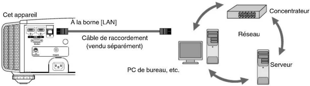 JVC DLARS49U - Connexion à la borne LAN - 1