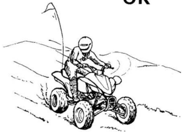 YAMAHA YFZ450R (2021) - AVERTISSEMENT - 4