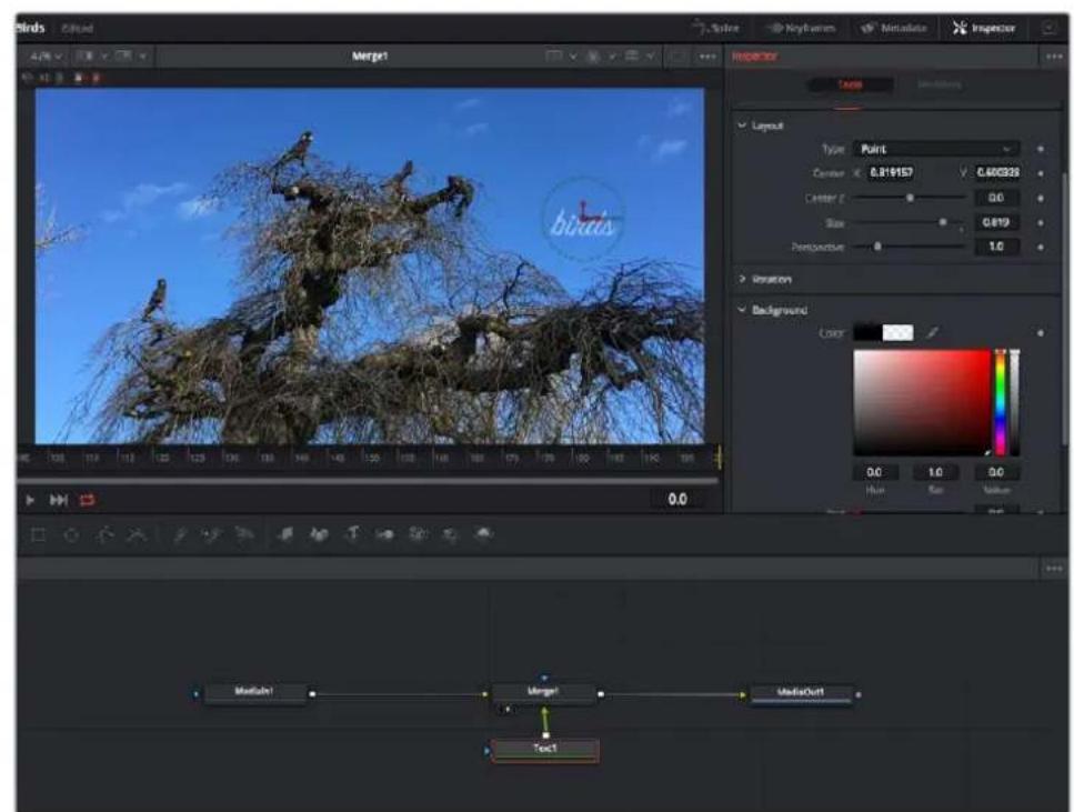 Blackmagic Design Pocket Cinema Camera 4K - Ajuster les noeuds avec l'inspecteur - 1