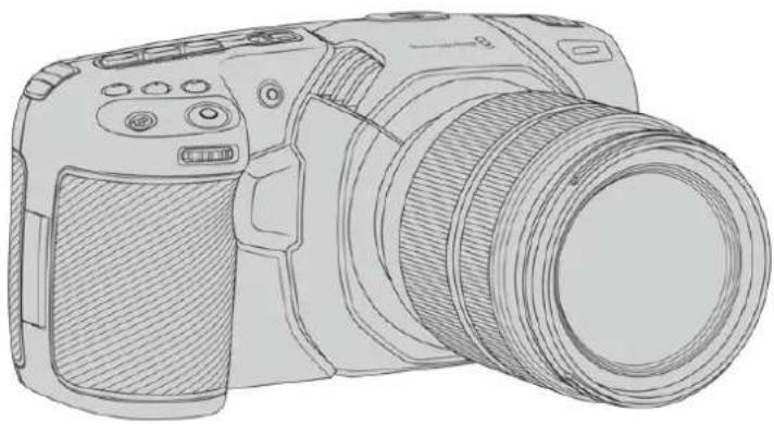 Blackmagic Design Pocket Cinema Camera 4K - Mit welcher Kamera arbeiten Sie? - 2