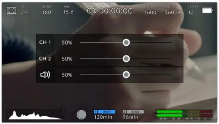 Blackmagic Design Pocket Cinema Camera 4K - Indicateurs audio - 2