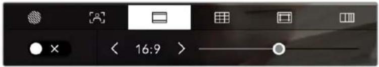 Blackmagic Design Pocket Cinema Camera 4K - Guias de encuadre - 1