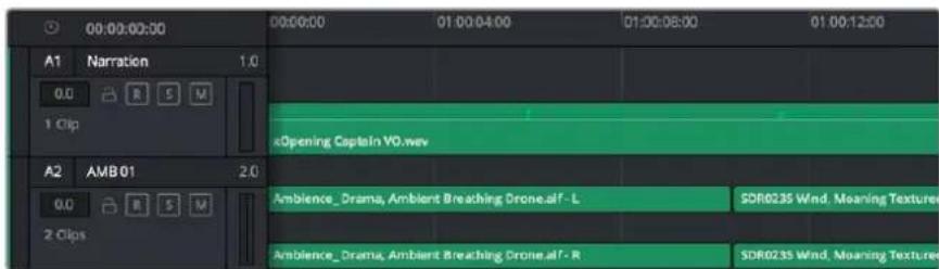 Blackmagic Design Pocket Cinema Camera 4K - La timeline audio - 1