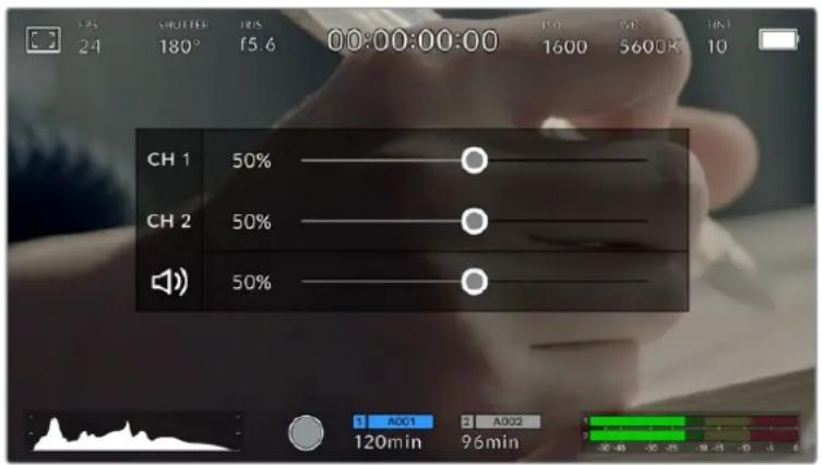 Blackmagic Design Pocket Cinema Camera 4K - Audio Meter - 2