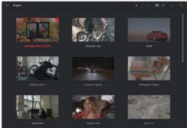 Blackmagic Design Pocket Cinema Camera 4K - Project Manager - 1