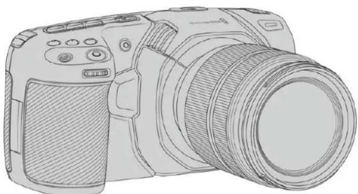 Blackmagic Design Pocket Cinema Camera 4K - Quelleamerautilisez-vous? - 2