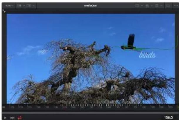 Blackmagic Design Pocket Cinema Camera 4K - Usar la funciona de seguímente y/agregar textualo - 4