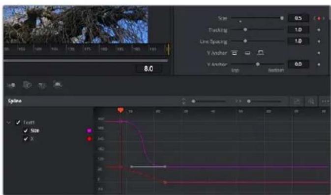 Blackmagic Design Pocket Cinema Camera 4K - Travailler avec des images clés - 1