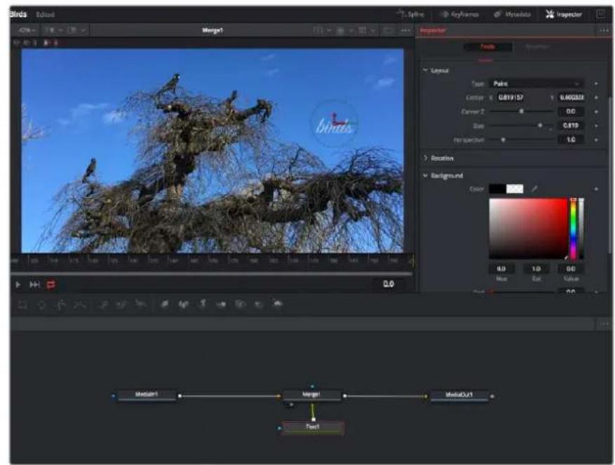 Blackmagic Design Pocket Cinema Camera 4K - Ajustar nodos con el Inspector - 1