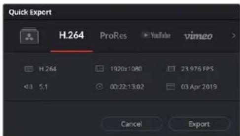 Blackmagic Design Pocket Cinema Camera 4K - So verwenden Sie Quick Export: - 1