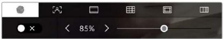 Blackmagic Design Pocket Cinema Camera 4K - Cebra - 1