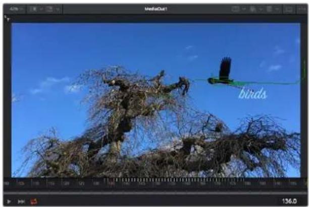 Blackmagic Design Pocket Cinema Camera 4K - モーニングラルカーの使用、デイストの追加 - 4